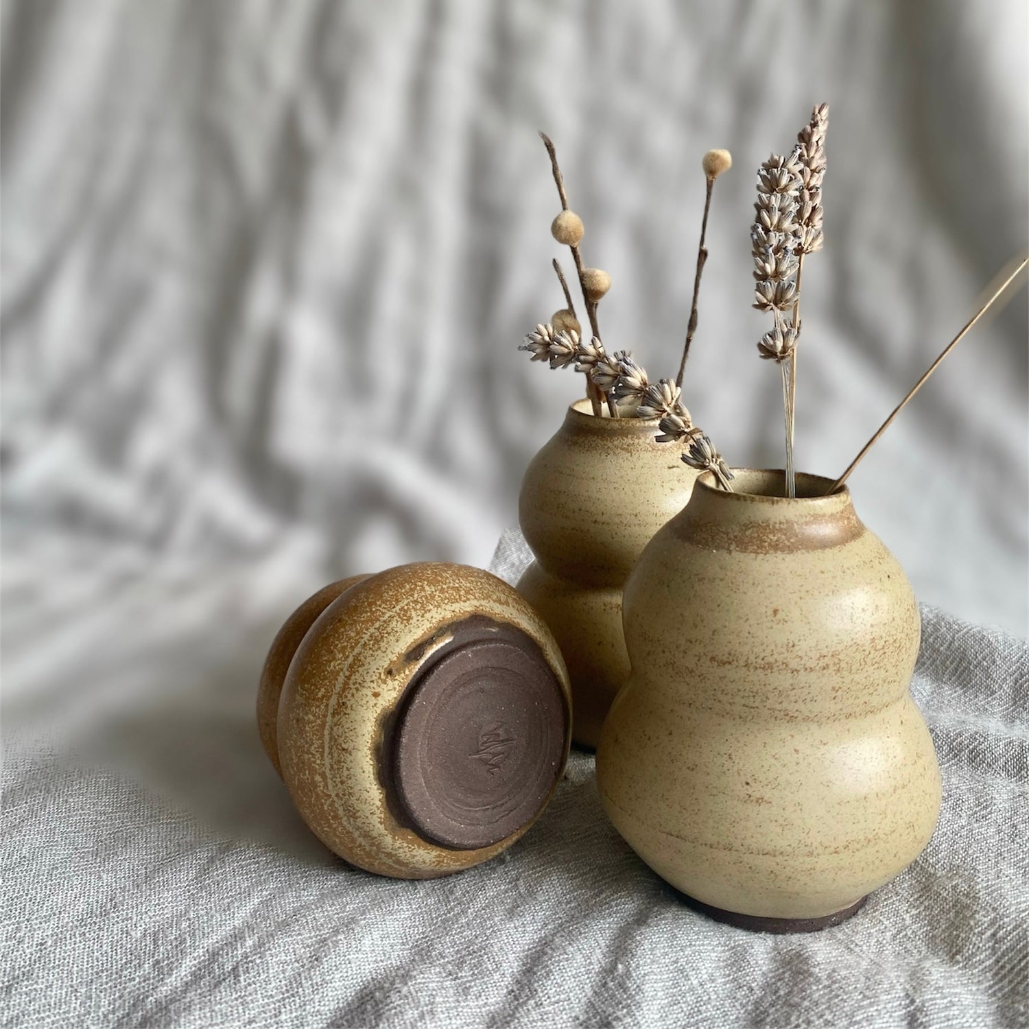 vases